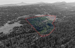 tbd King Drive, Rico, CO 81332