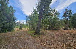 157 Mingo Chandler Rd., Nesmith, SC 29580