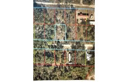 NE 50TH Place, WILLISTON, FL 32696