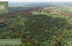 1425 Booger Hollow Road, Dadeville, AL 36853
