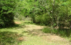 0 County Road 213, Lanett, AL 36863