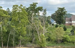 Lot 17A Old Lead Mine Bend Rd, Sharps Chapel, TN 37866