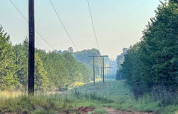 3 Big Hill Fire Tower Road, Robeline, LA 71469