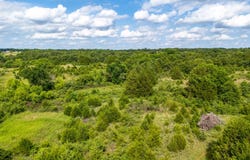000 N 3300 Rd, Lot 8, Wanette, OK 74878