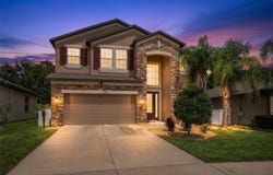 11438 ACACIA GROVE Lane, RIVERVIEW, FL 33579