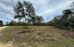 NE 135TH ST, SALT SPRINGS, FL 32134