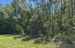 7861 N Valhalla Drive, Citrus Springs, FL 34434