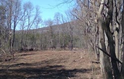 CRITTON OWL HOLLOW RD, SLANESVILLE, WV 25444