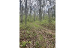 1900 Madison 238, Fredericktown, MO 63646