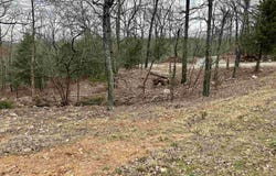 703 CR 19, Mountain Home, AR 72653