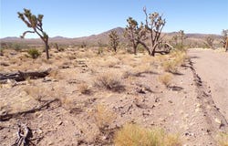 329-08-363 N La Puente Drive, White Hills, AZ 86445