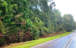 734 Epley Road, Sumrall, MS 39482