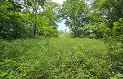 4492 Hathaway LOT-B Road, Union, KY 41091