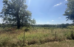 1539 Cypress Road, Rogersville, MO 65742