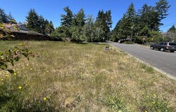 Tamarack, Florence, OR 97439