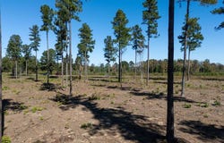 Lot 4 Christanna Highway, Lawrenceville, VA 23868