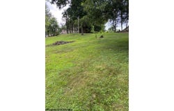 1382 Locust Avenue, Fairmont, WV 26554