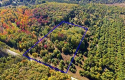 Shively Road, Fife Lake, MI 49633