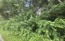 1823 Bass Cir, La Grange, KY 40031