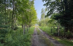 233 Sunset Drive, Roscommon, MI 48653