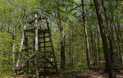 Sanly Road, Franklin, NY 13839