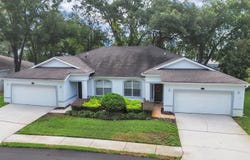 8609 ALEXANDRA ARBOR Lane, TEMPLE TERRACE, FL 33637
