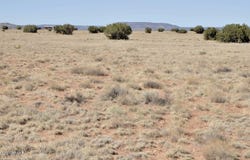 14 CR 5525, Concho, AZ 85924