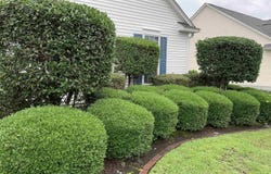 1615 Sedgefield Dr., Murrells Inlet, SC 29576