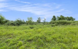 9820 S Bagley Road, Ashley, MI 48806