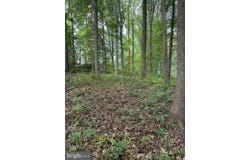 RAGAN Road, CONOWINGO, MD 21918