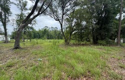 Scrabble Road, Blackshear, GA 31516