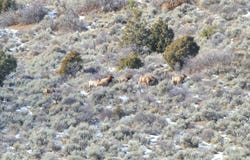 TBD Highway 13, Rifle, CO 81650