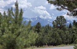 118 Pika Lane, Ridgway, CO 81432