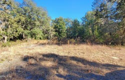 602 SHAPPELL Avenue, Interlachen, FL 32148