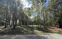 258 Co Rd 1123, Vinemont, AL 35179