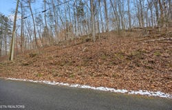 Fox Hollow Lane, Andersonville, TN 37705