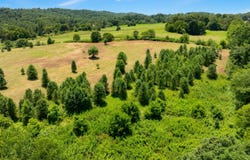 Lot 6 Thorngrove Pike, Kodak, TN 37764