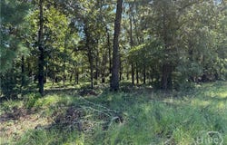 Sunbury Road, Claxton, GA 30417