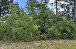 SW FLORIDA ROAD, ARCADIA, FL 34266