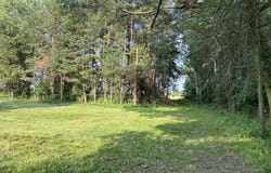 6948 Peach Tree Lane, Celina, OH 45822