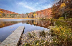 7667 Hickory Bottom Rd, Naples, NY 14512