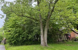 3874 Washington Boulevard, University Heights, OH 44118