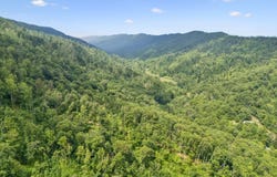 8075 Snake Hollow Rd, Sneedville, TN 37869