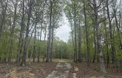 0 Deer Wood Drive, Sewanee, TN 37375