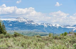 505 E TRAP CLUB Road, Jackson, WY 83012