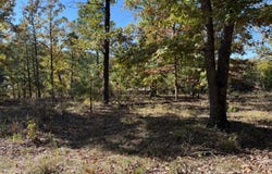 0 Highway 115, Cave City, AR 72521