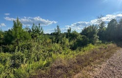 County Rd 81 & County Rd 83, Mccarley, MS 38943