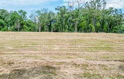 703 Oxford Loop, NEW ALBANY, MS 38652