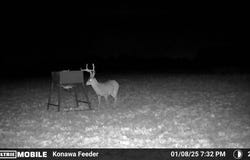 TRACT 5 EW 1430 Rd., Konawa, OK 74849