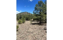 XX Campfire, Datil, NM 87821